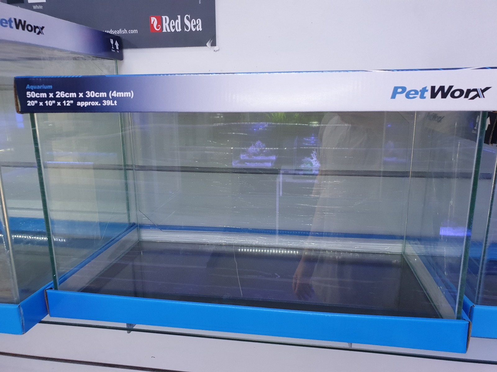 voorbeeld Verdraaiing oor Petworx Glass Aquarium 50cm